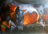 /album/galerie-photos/dans-la-penombre-jpg1/